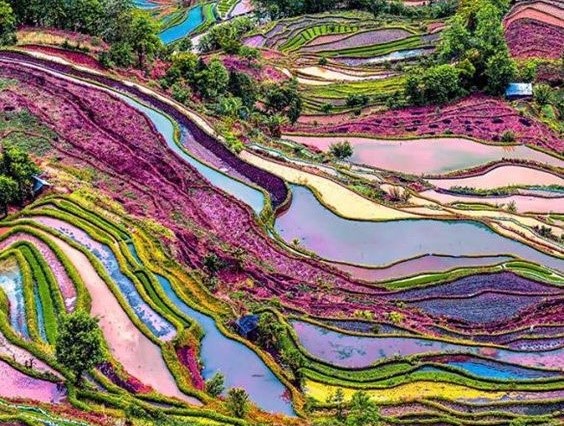 chine